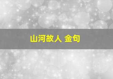 山河故人 金句